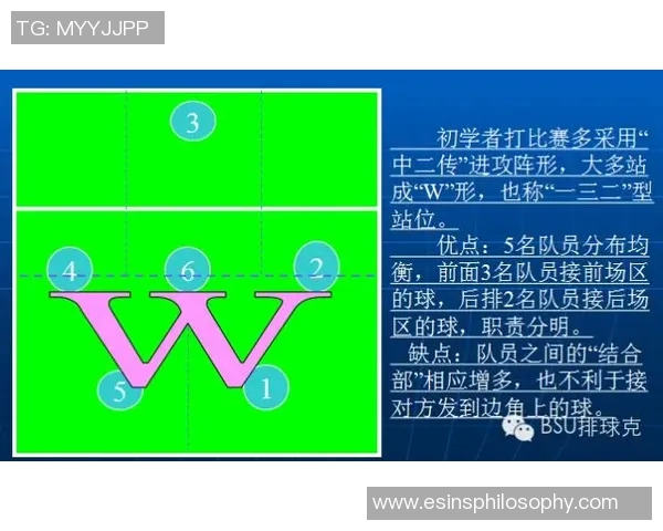 排球战术揭秘：深入分析北京排球队的制胜之道与训练秘诀
