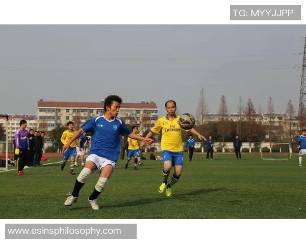 溧水足球明星盘点及其在国内外赛场上的精彩表现与成就分析