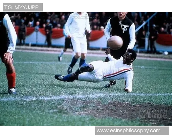 热血沸腾足球明星主演的经典电影推荐让你领略绿茵场上的激情与梦想